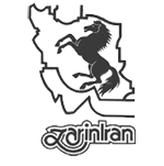 چینی زرین
